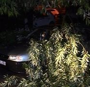 Ploaia a facut ravagii in Buzau! Artere principale din oras au fost acoperite de apa